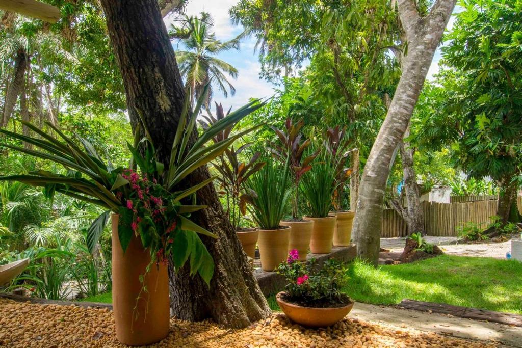 Vila Pati Caraiva Exterior photo